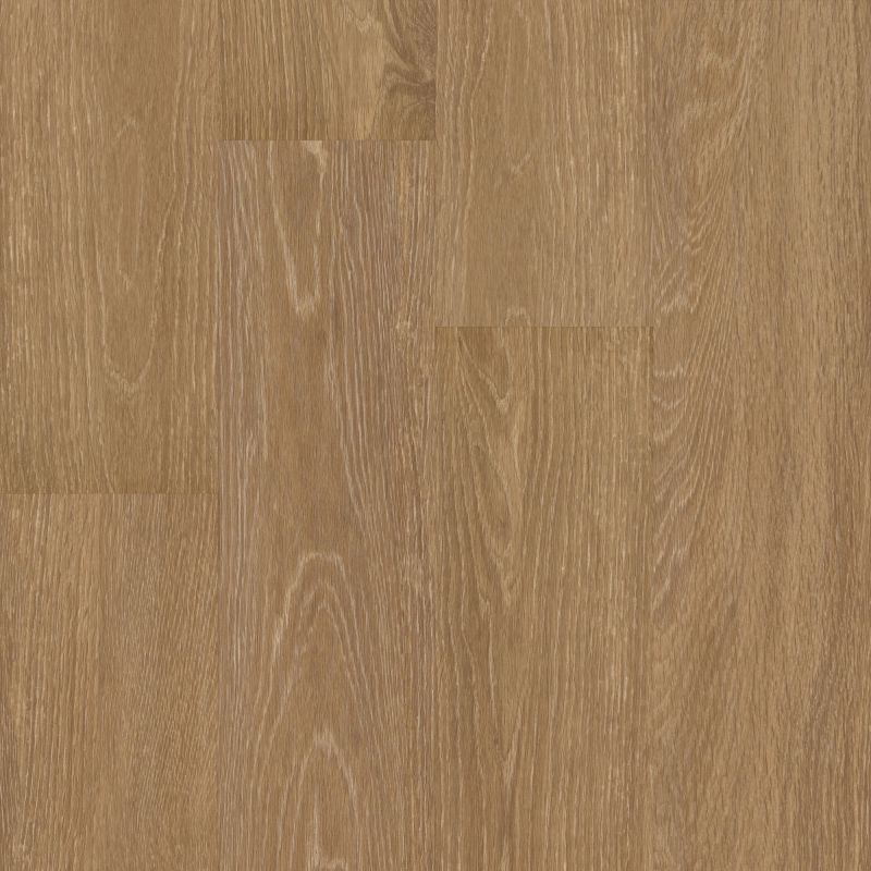 Shaw Floors 5th And Main Symbiotic 5.0 Reed