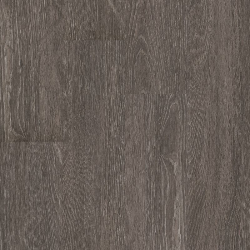 Shaw Floors 5th And Main Symbiotic 5.0 Carbon