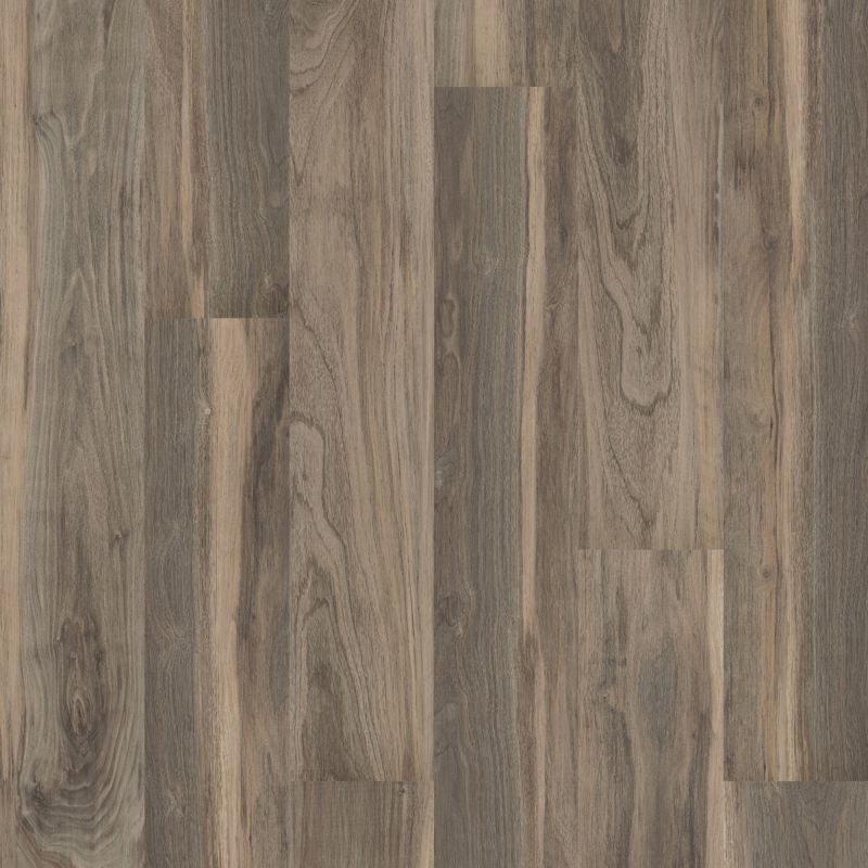 Shaw Floors 5th And Main Symbiotic 5.0 Sparrow