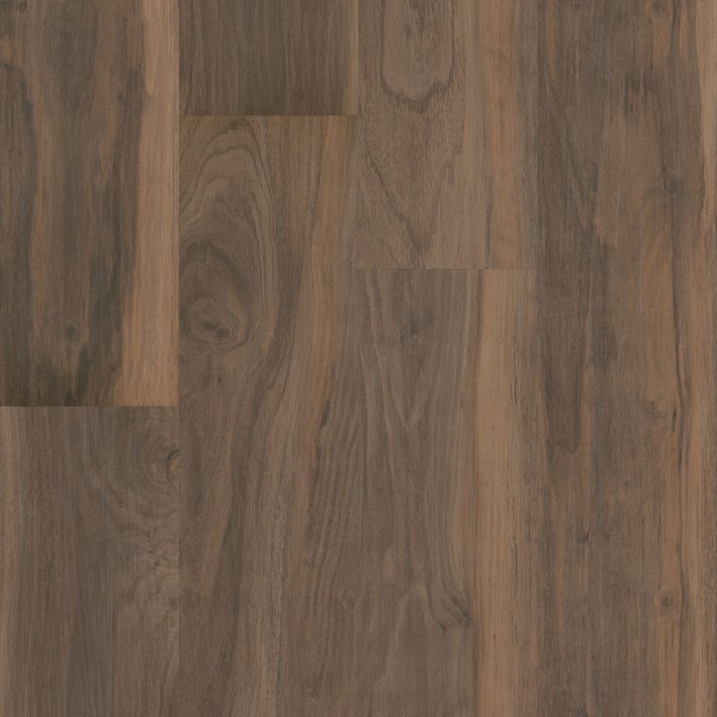 Shaw Floors 5th And Main Symbiotic 5.0 Terra