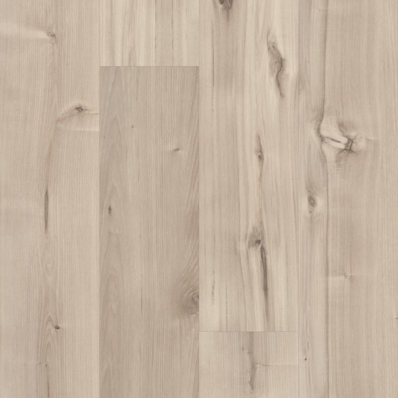 Shaw Floors 5th And Main Symbiotic 5.0 Canvas