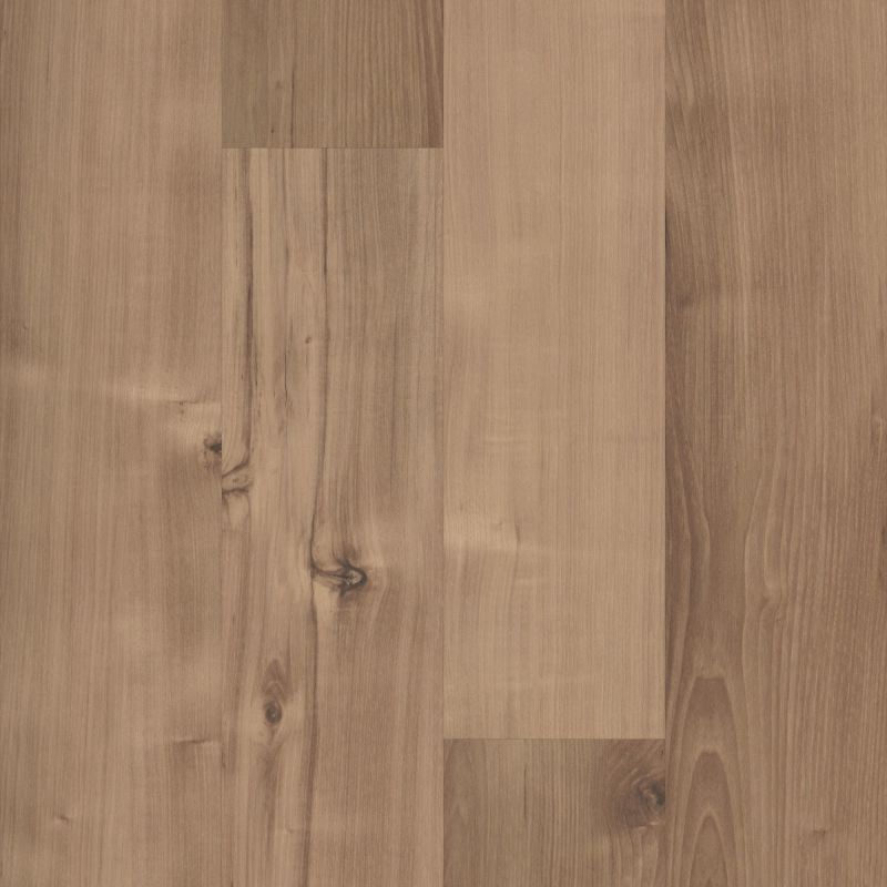 Shaw Floors 5th And Main Symbiotic 5.0 Sennawood