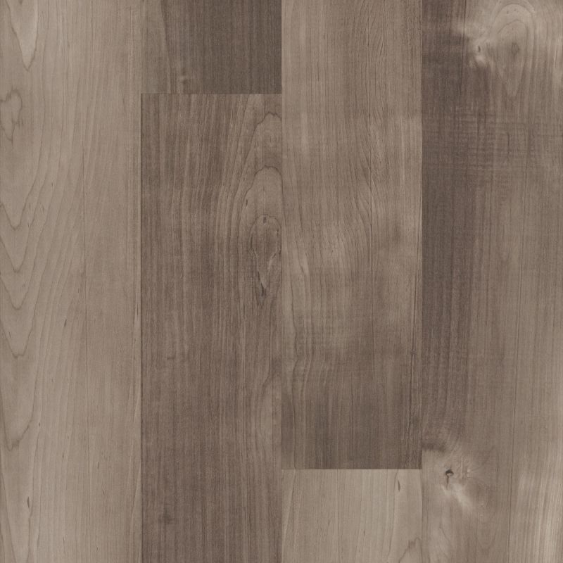 Shaw Floors 5th And Main Symbiotic 5.0 Mesa