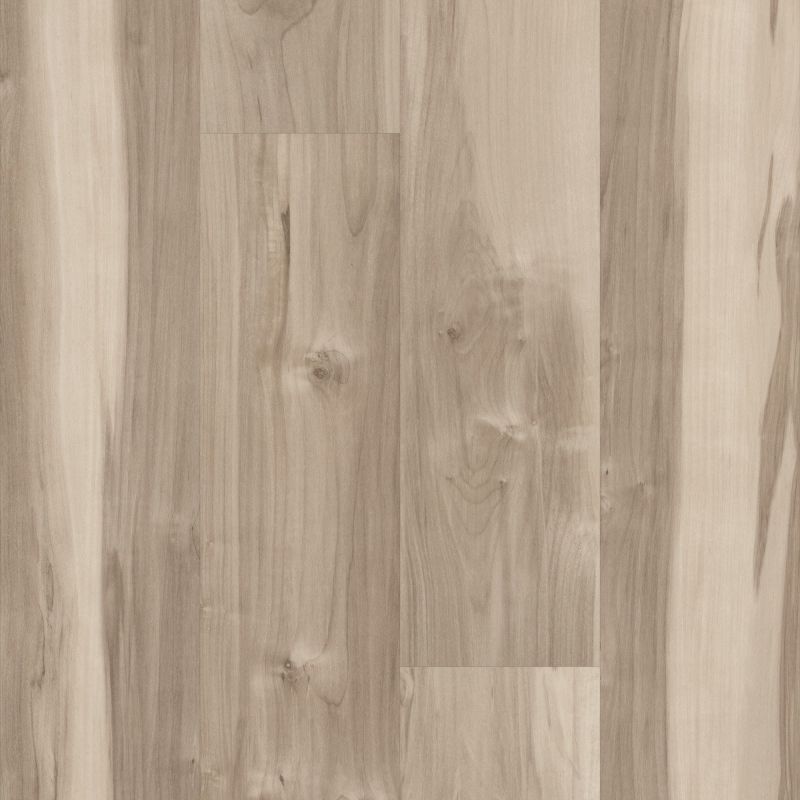 Shaw Floors 5th And Main Symbiotic 5.0 Capeview