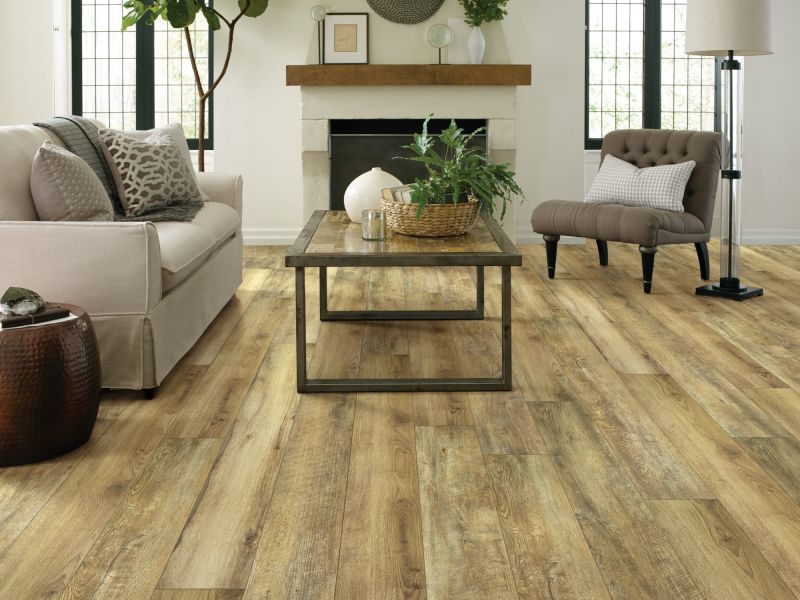 Shaw Floors 5th And Main Expedition Plus Tahoe Verge