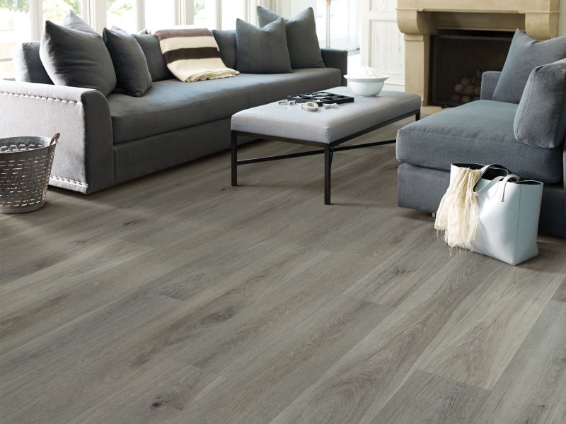 Shaw Floors SFA Adventure XL Hd+accent Nordic Fog