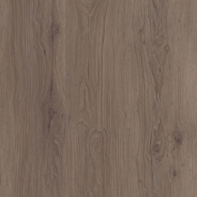 Shaw Floors SFA Adventure XL Hd+accent Sumatra
