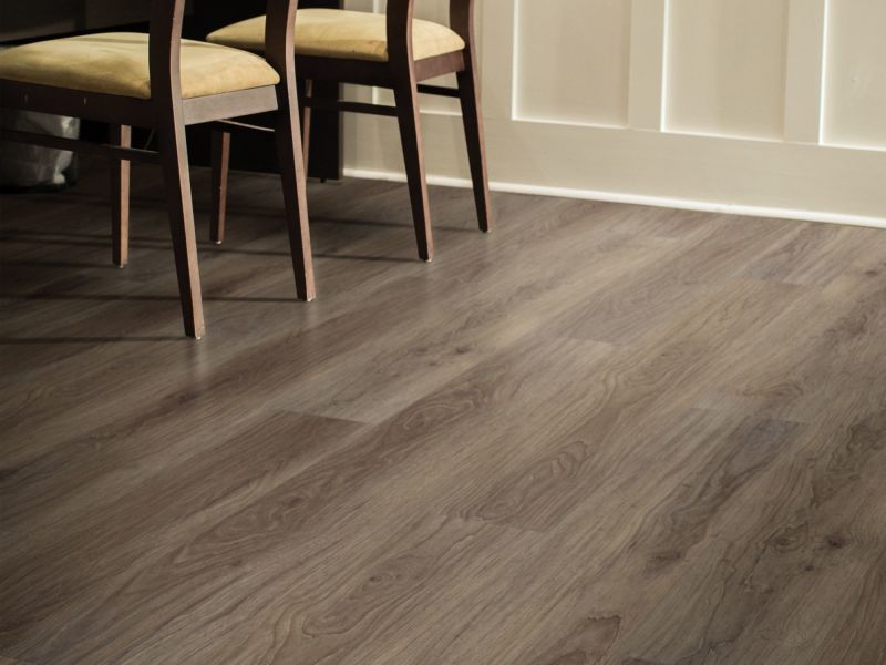 Shaw Floors SFA Adventure XL Hd+accent Sumatra