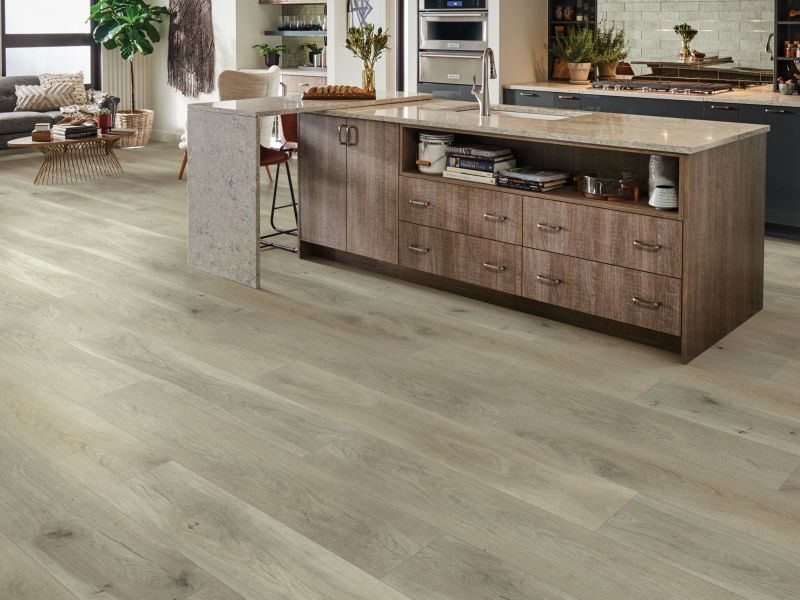 Shaw Floors SFA Adventure XL Hd+accent Cliffside