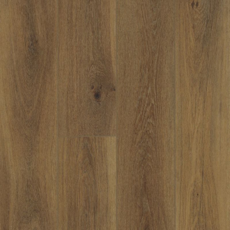 Shaw Floors SFA Adventure XL Hd+accent Cowhide