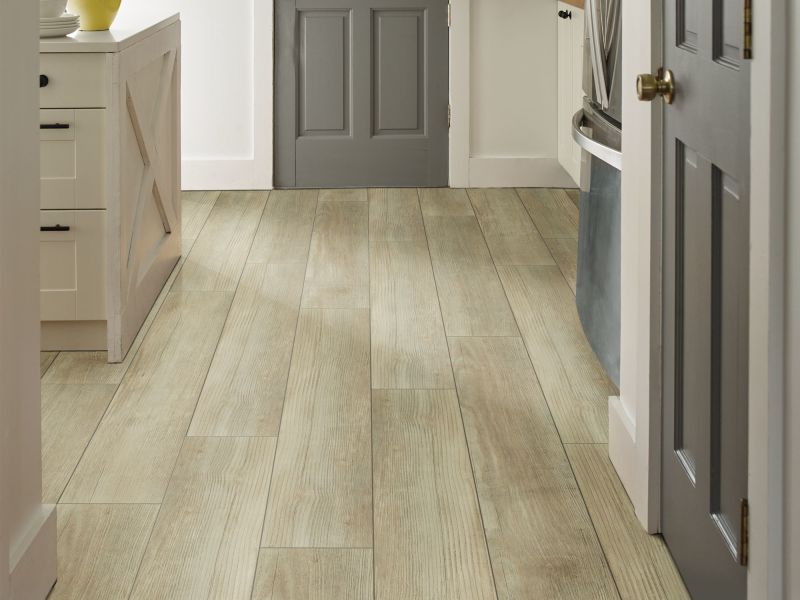Shaw Floors SFA Adventure Hd+ Accent Cypress