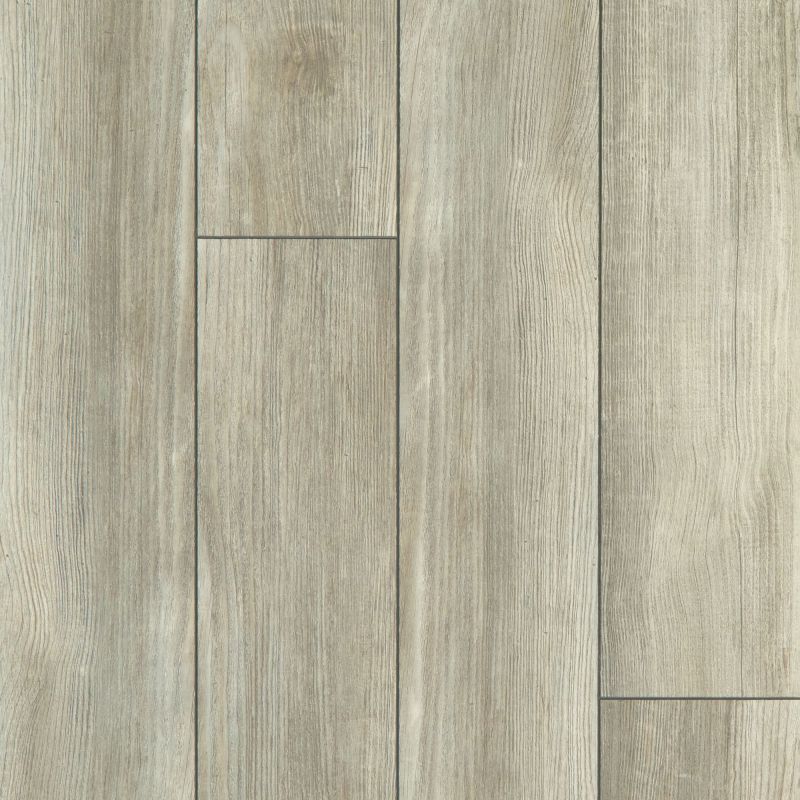 Shaw Floors SFA Adventure Hd+ Accent Spanish Moss