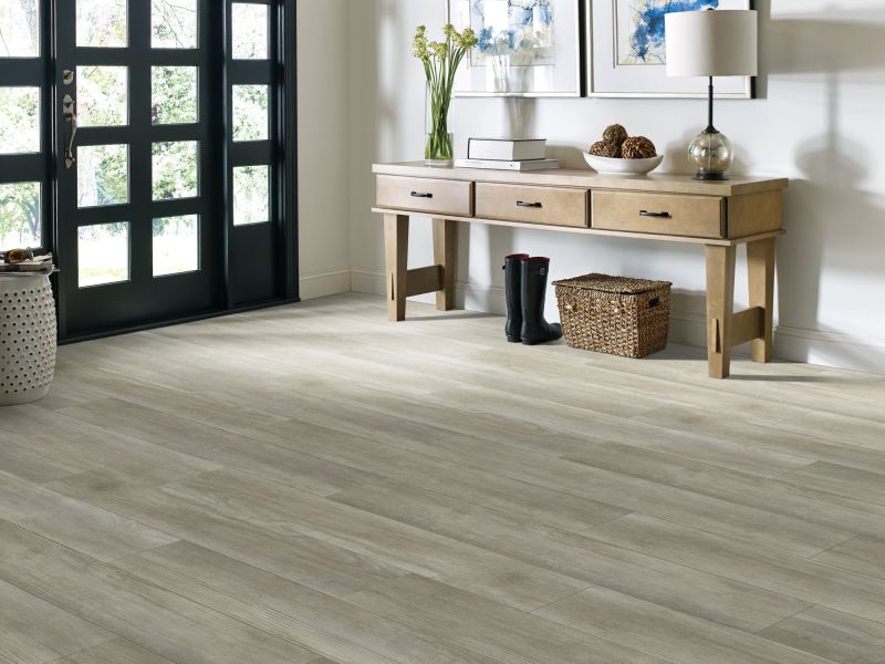 Shaw Floors SFA Adventure Hd+ Accent Spanish Moss