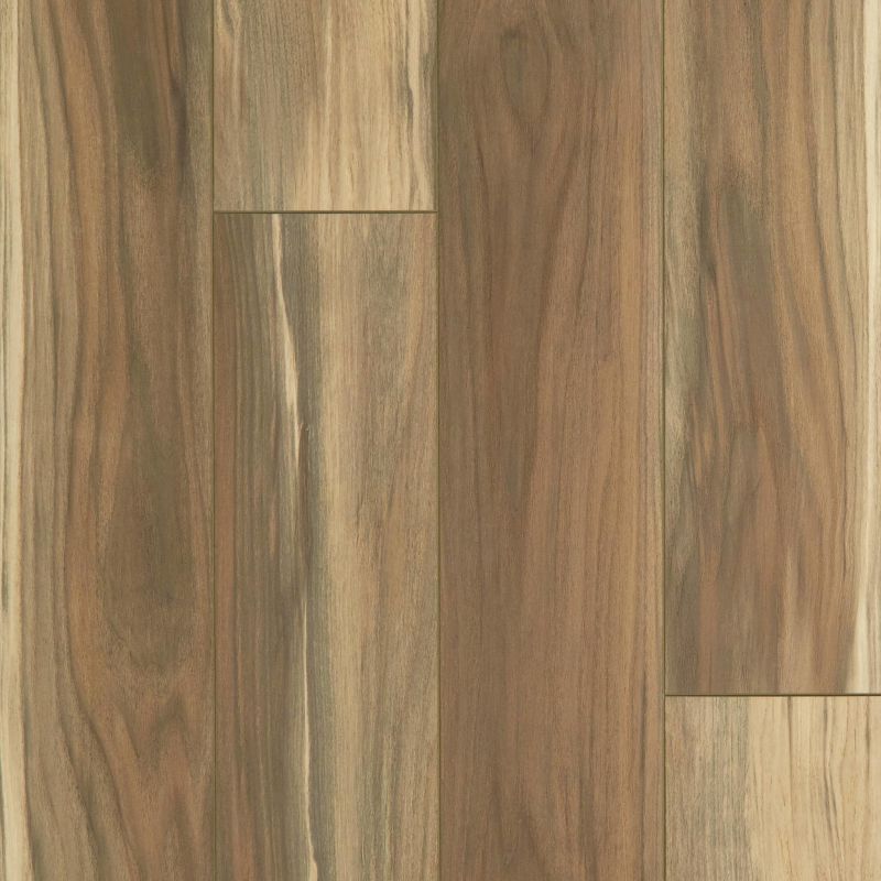 Shaw Floors SFA Adventure Hd+ Accent Phoenix