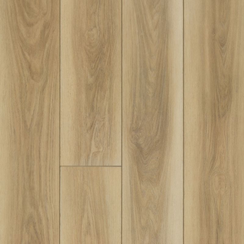Shaw Floors SFA Awaken Hd+ Accent Desert Clay