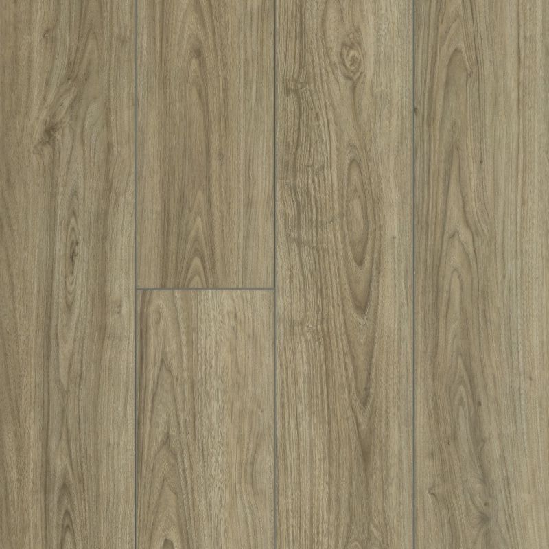 Shaw Floors SFA Awaken Hd+ Accent Feather