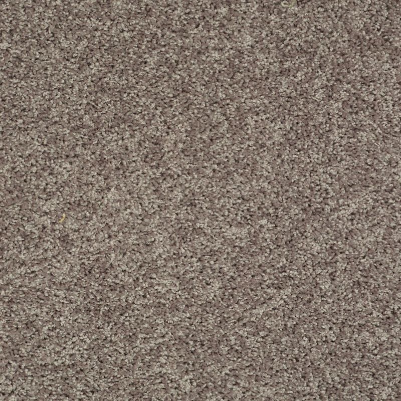 Shaw Floors Sm Builder Rebel Net Igloo