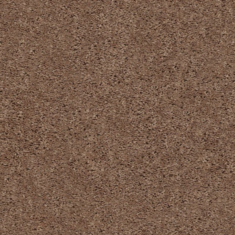 Shaw Floors Sm Builder Rebel Net Butcher Block