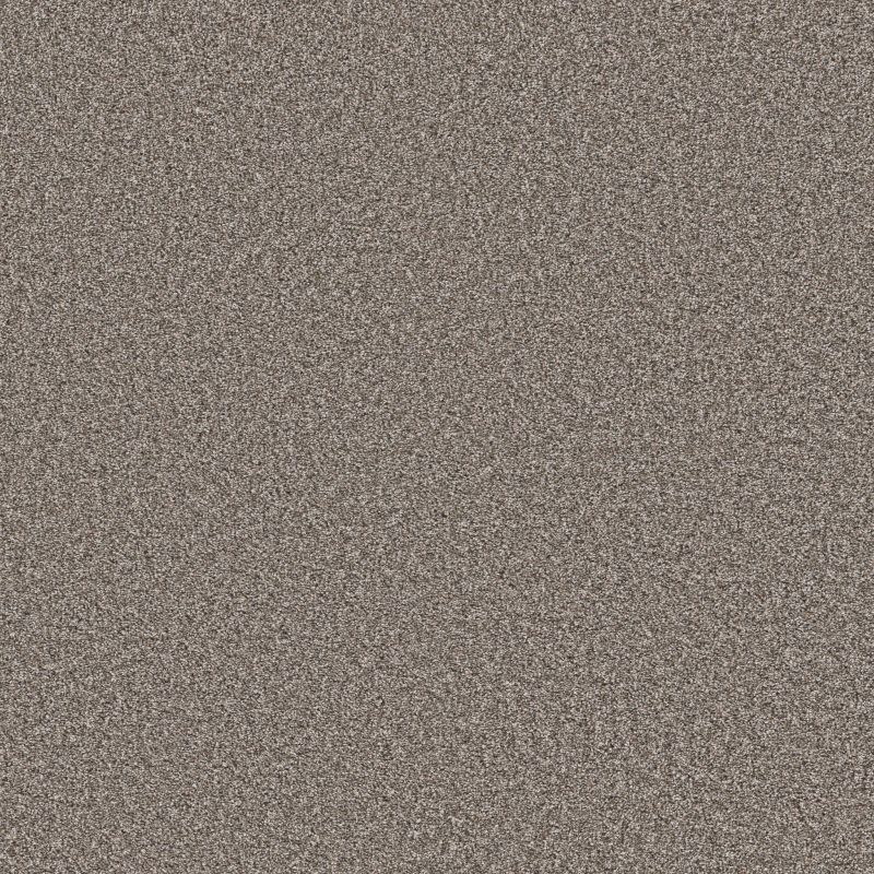 Shaw Floors Refined Comfort I 12' Wild Rice