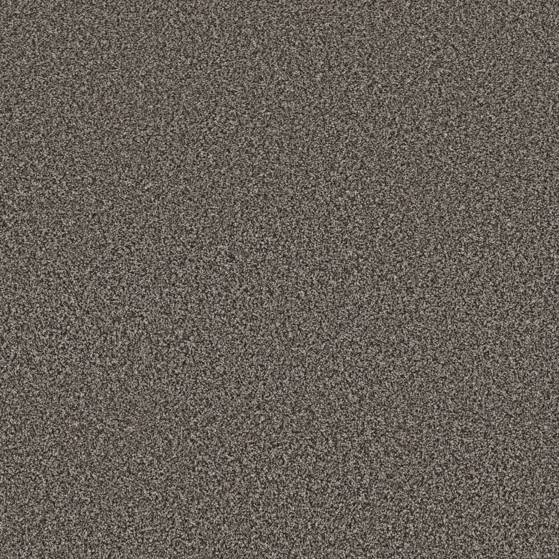 Shaw Floors Refined Comfort I 12' Slate Grey
