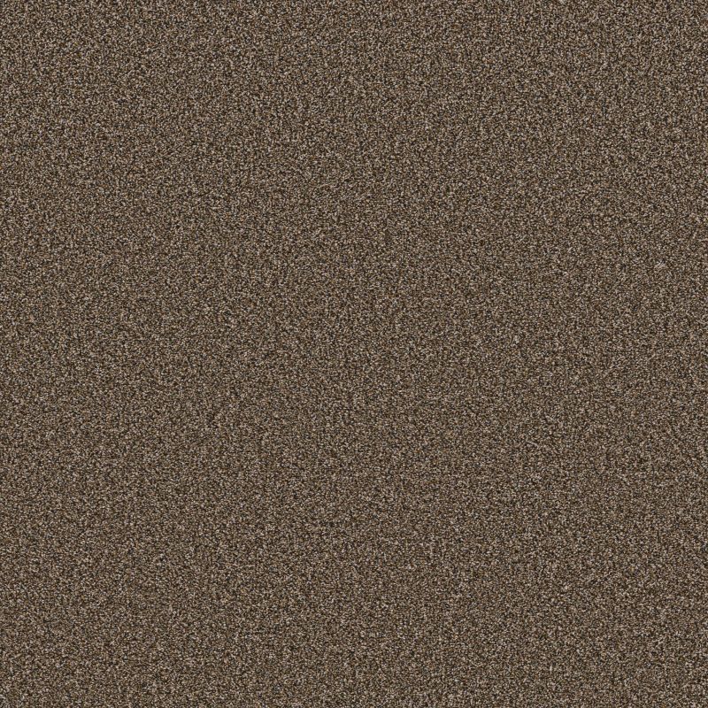 Shaw Floors Refined Comfort I 12' Delta Sand