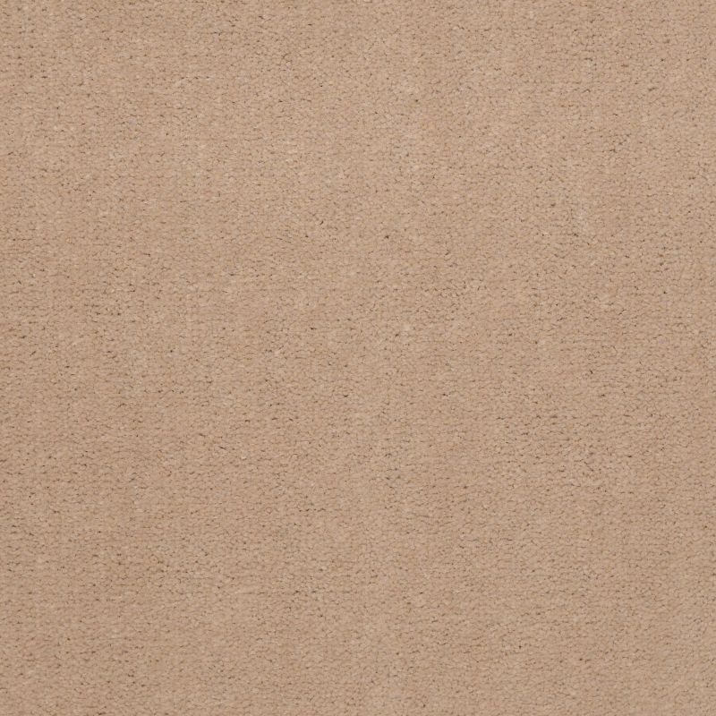 Philadelphia Commercial Registry 30 Tahoe Tan