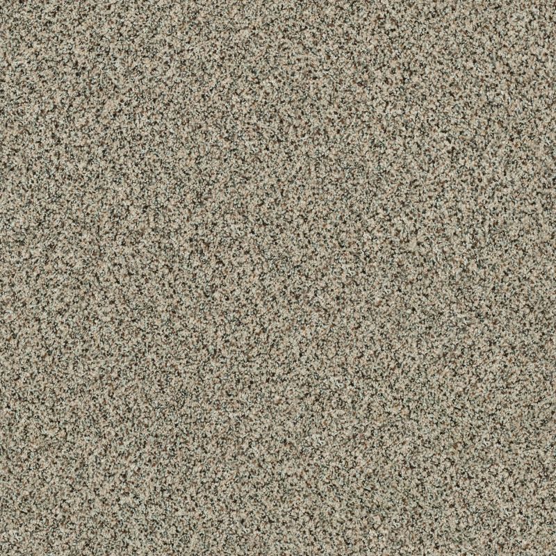 Shaw Floors Caress By Shaw Softly Surreal Classic III Dartmoor
