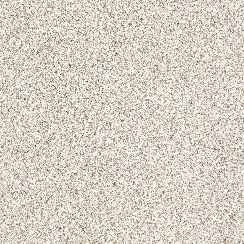 Shaw Floors Caress By Shaw Delicate Distinction Classic I Baybridge
