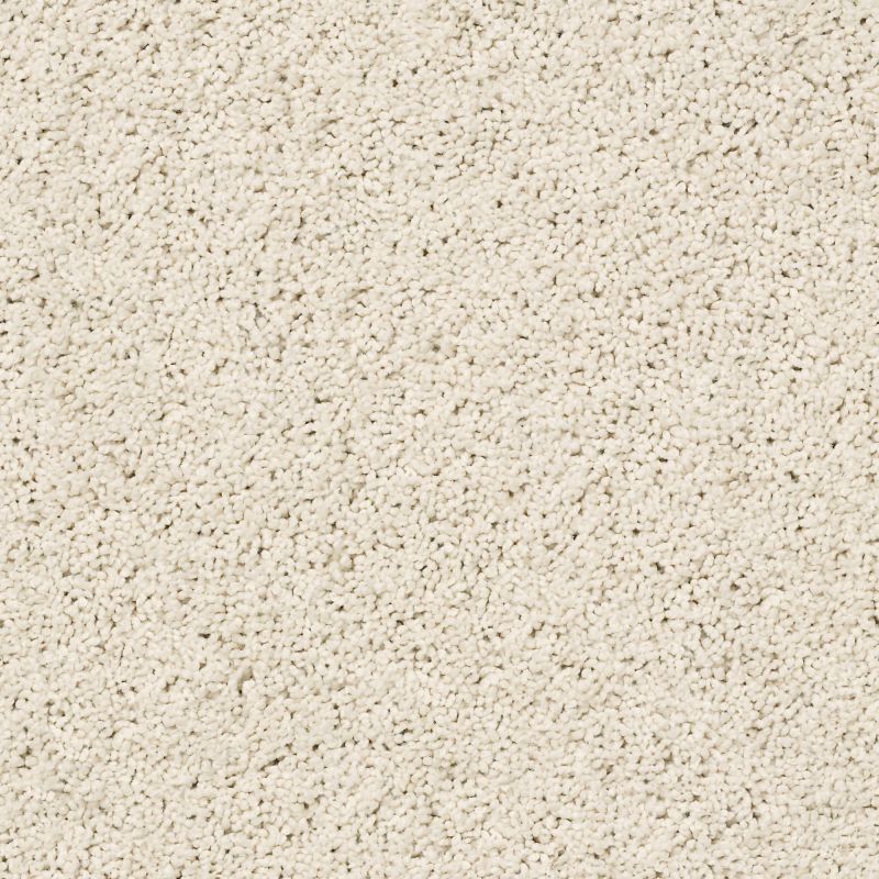 Shaw Floors Caress By Shaw Rich Opulence Lg Awaken
