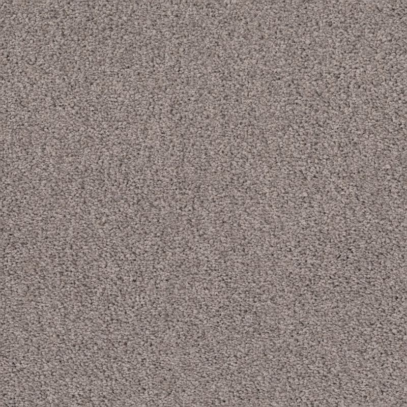 Shaw Floors Caress By Shaw Rich Opulence Lg Ridgeview
