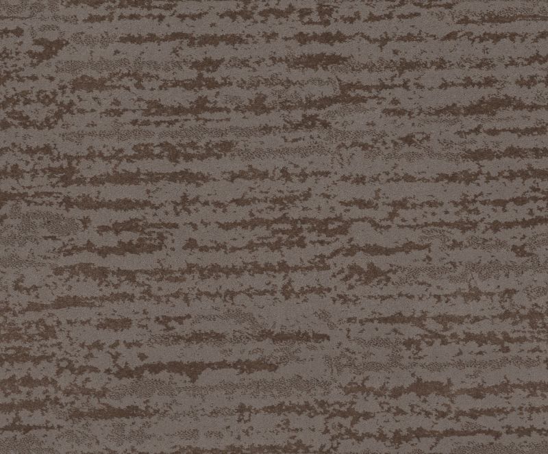 Shaw Floors Caress By Shaw Winter Solace Ridgeview