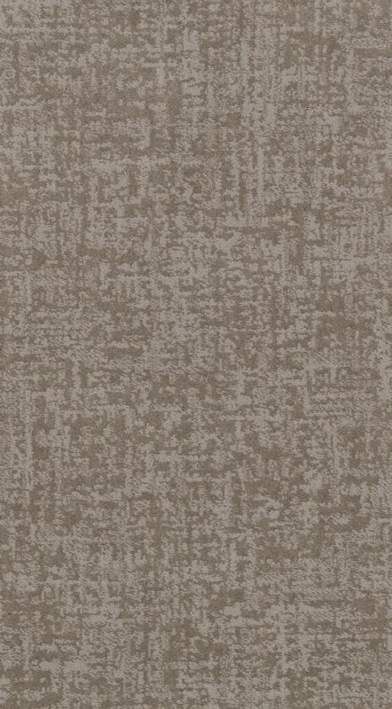 Shaw Floors Caress By Shaw Fine Structure Stucco