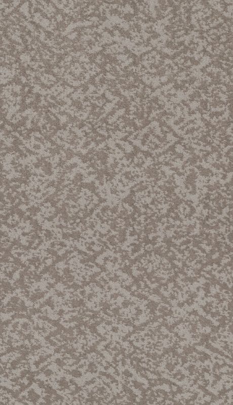 Shaw Floors Caress By Shaw Free Spirit Cold Winter