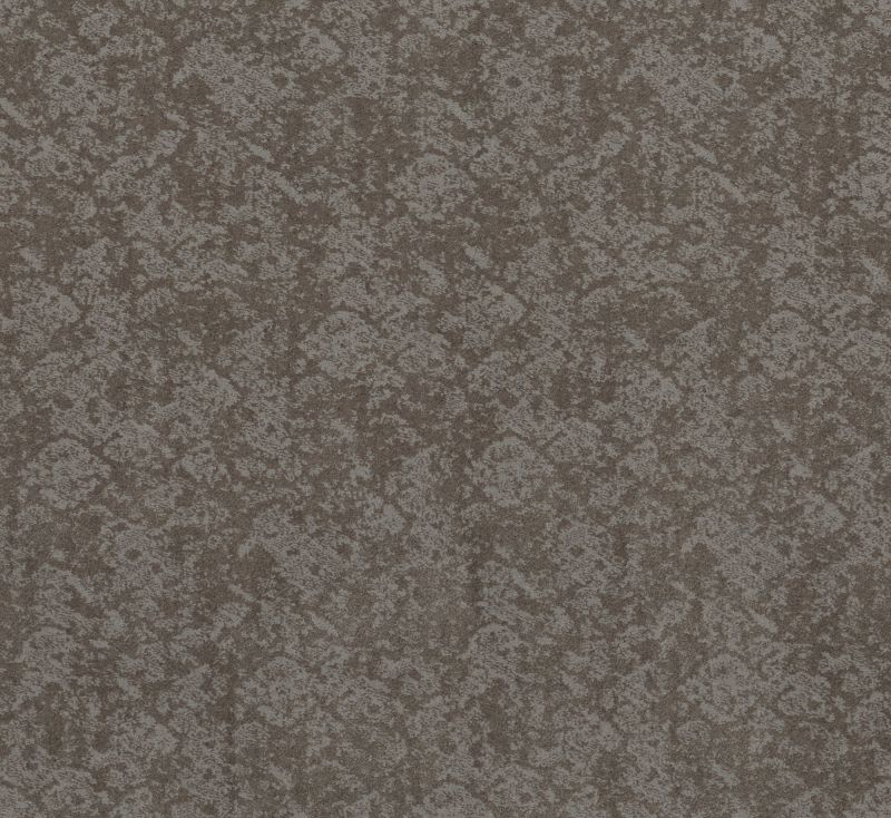 Shaw Floors Caress By Shaw Free Spirit Grounded Grey