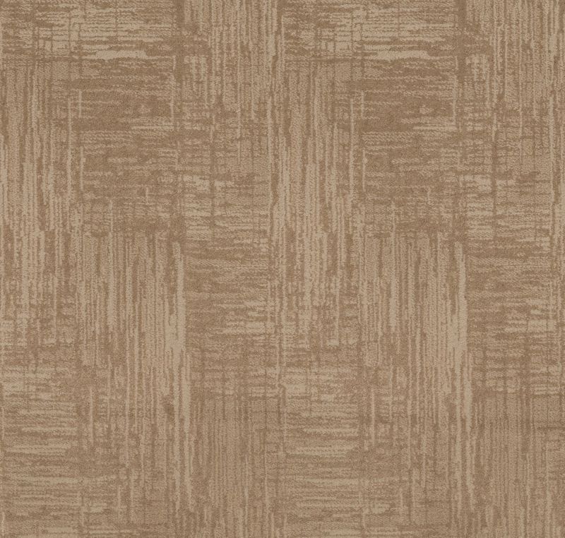 Shaw Floors Caress By Shaw Insightful Journey Natural Beauty