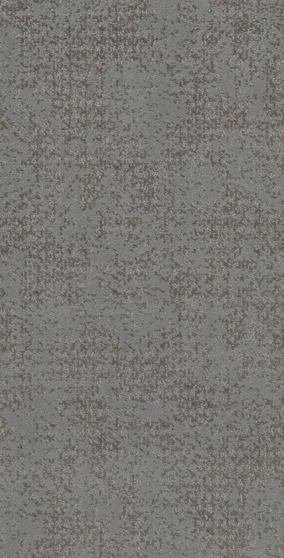 Shaw Floors Caress By Shaw Artistic Presence Grounded Gray