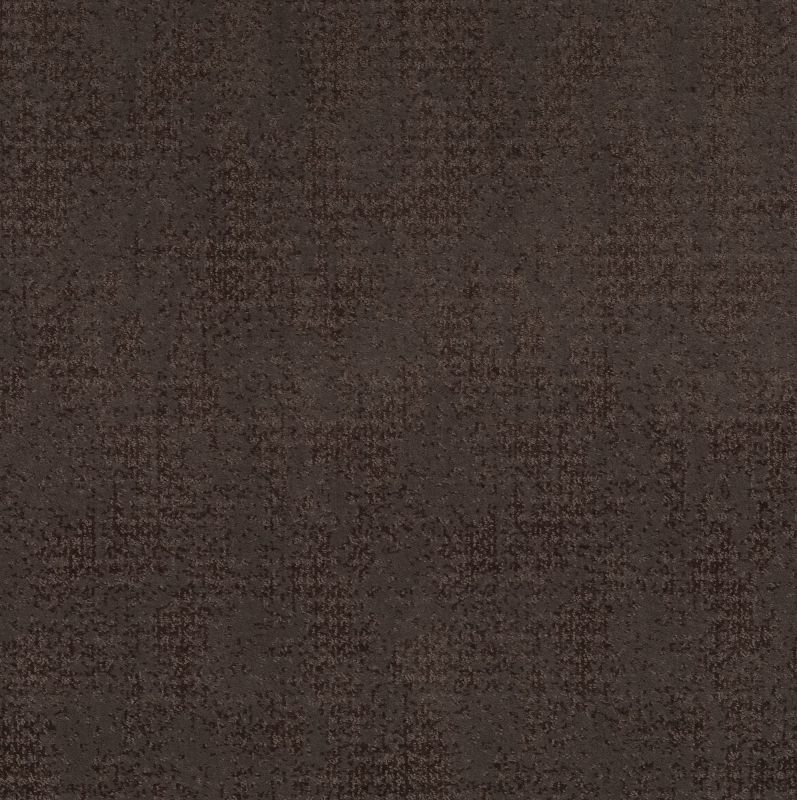 Shaw Floors Caress By Shaw Artistic Presence Burma Brown