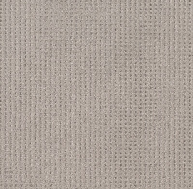 Shaw Floors Caress By Shaw Soft Symmetry Stucco