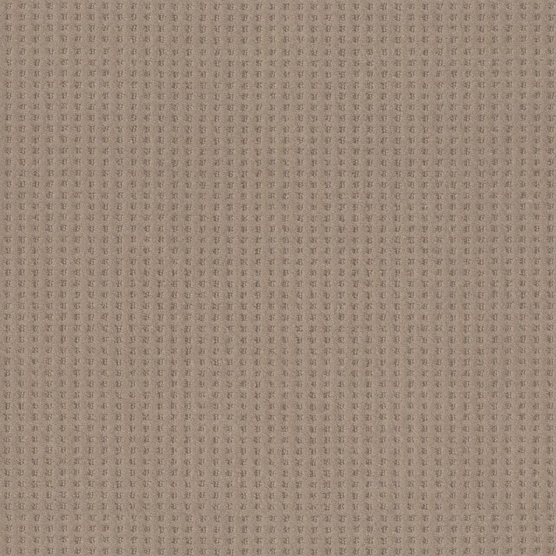 Shaw Floors Caress By Shaw Soft Symmetry Tumbleweed