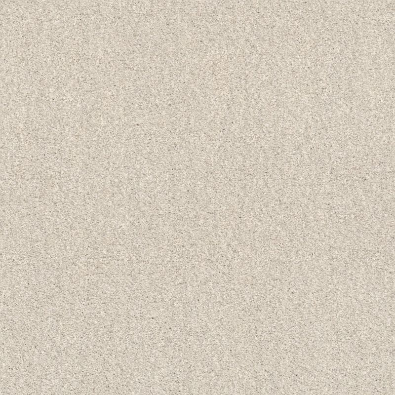 Shaw Floors Caress By Shaw Cozy Harbor I Delicate Cream
