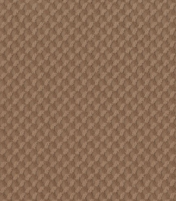 Shaw Floors Caress By Shaw Inspired Design Sunbaked