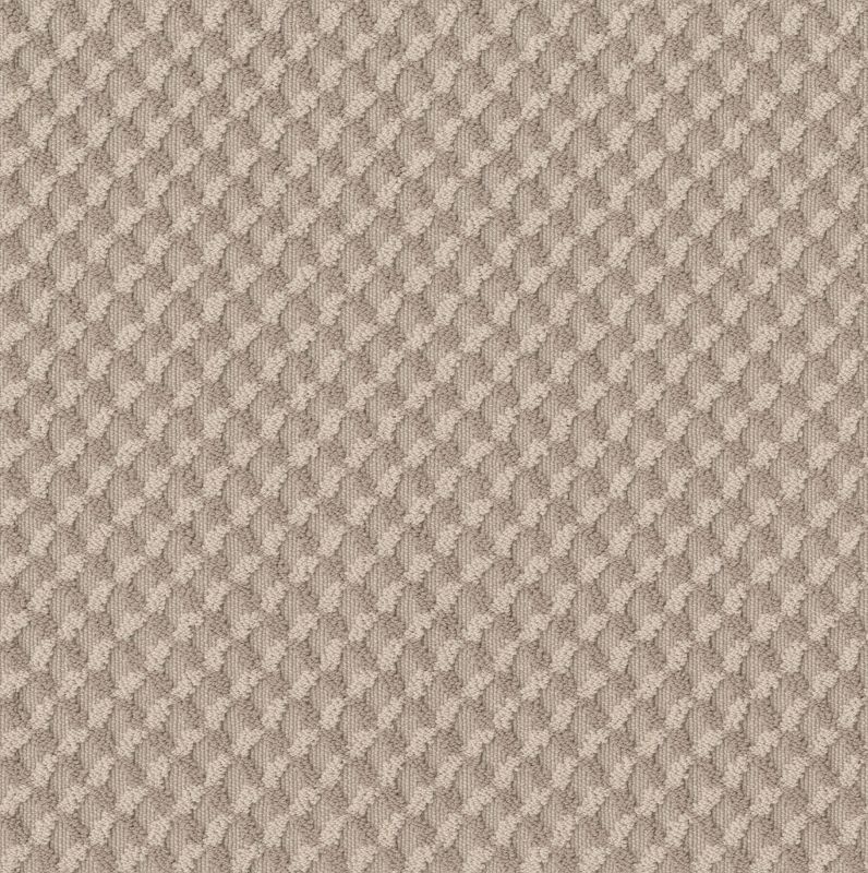 Shaw Floors Caress By Shaw Inspired Design Natural Beauty