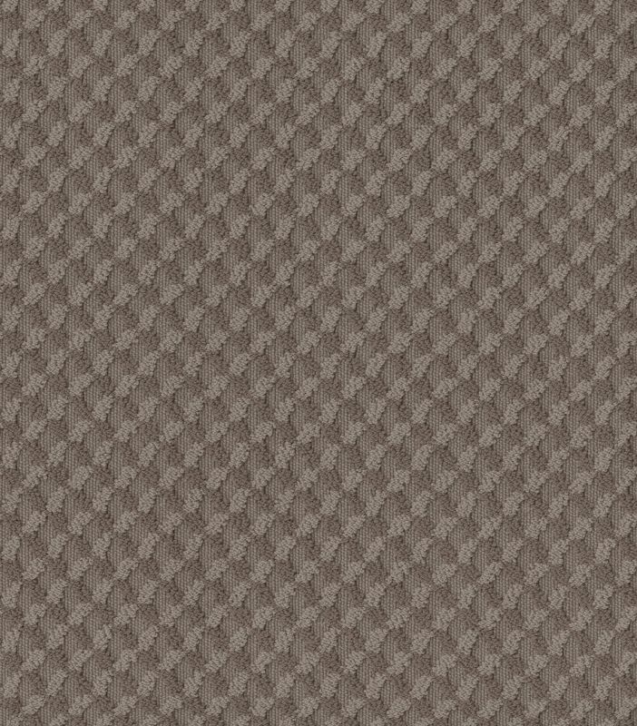 Shaw Floors Caress By Shaw Inspired Design Ridgeview