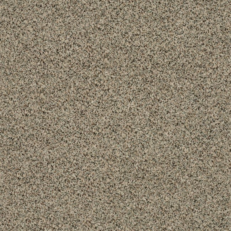 Shaw Floors Value Collections Angora Classic I Net Wensleydale