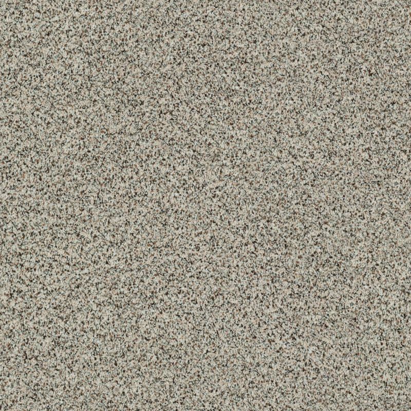 Shaw Floors Value Collections Angora Classic II Net Corriedale