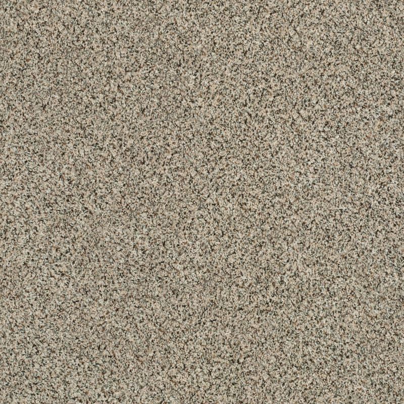 Shaw Floors Value Collections Angora Classic II Net Walnut Shell