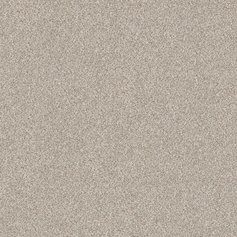 Shaw Floors Value Collections Devon Classic II Net Valley