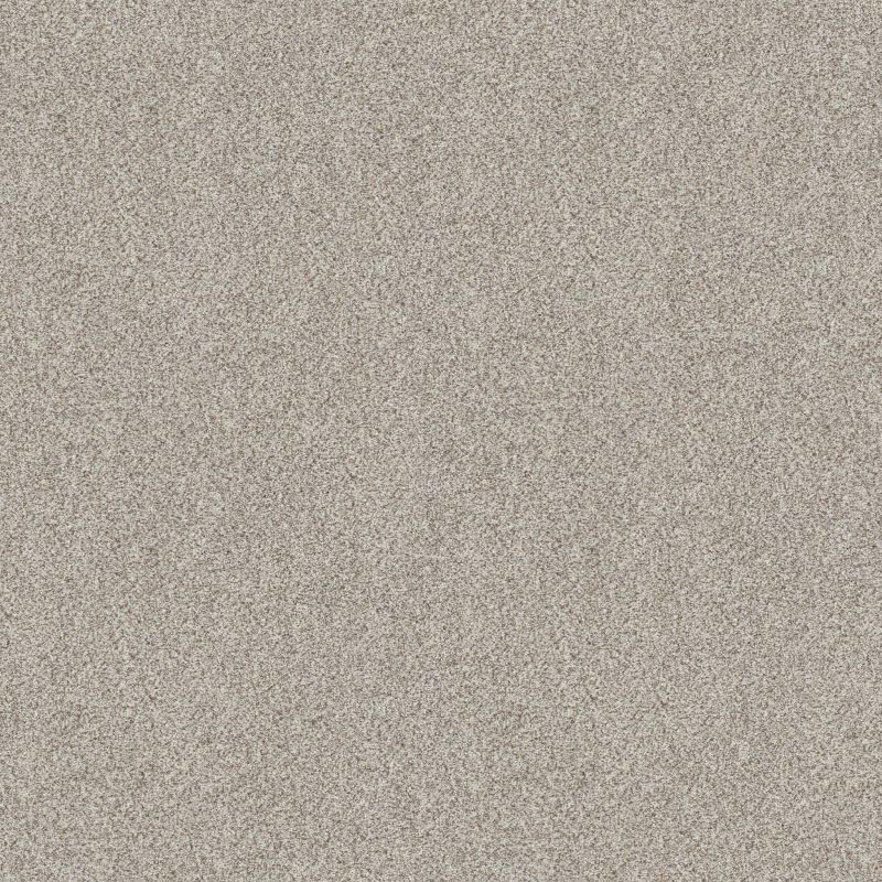Shaw Floors Value Collections Devon Classic II Net Baybridge