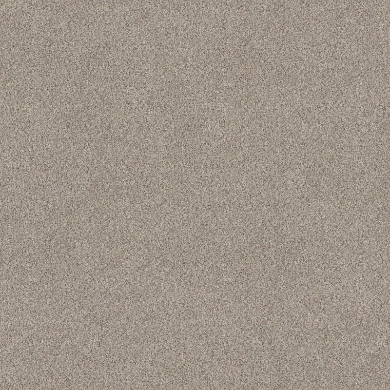 Shaw Floors Value Collections Devon Classic II Net Heath