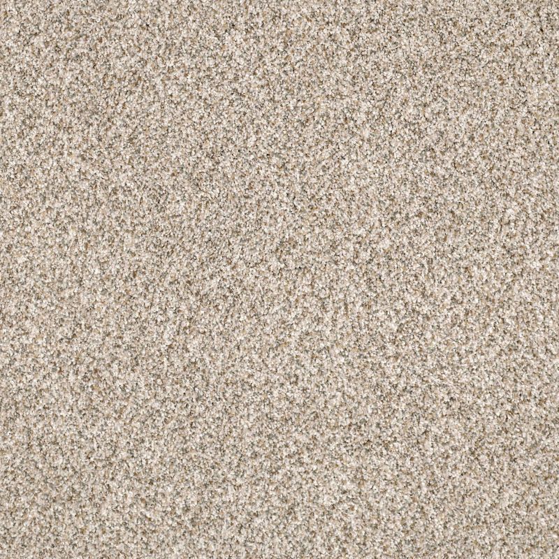 Shaw Floors Value Collections Devon Classic II Net Granite